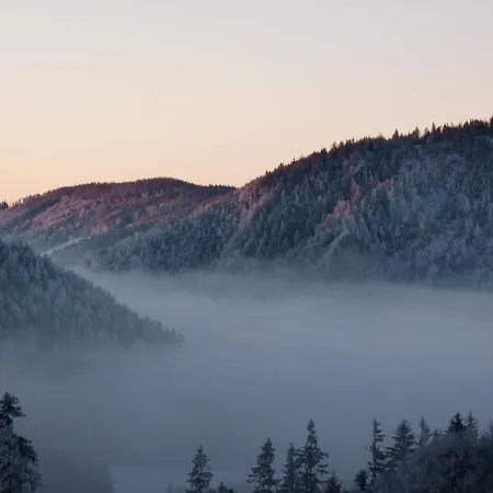 Winter's Panoramahaeuschen Sankt Kathrein am Offenegg