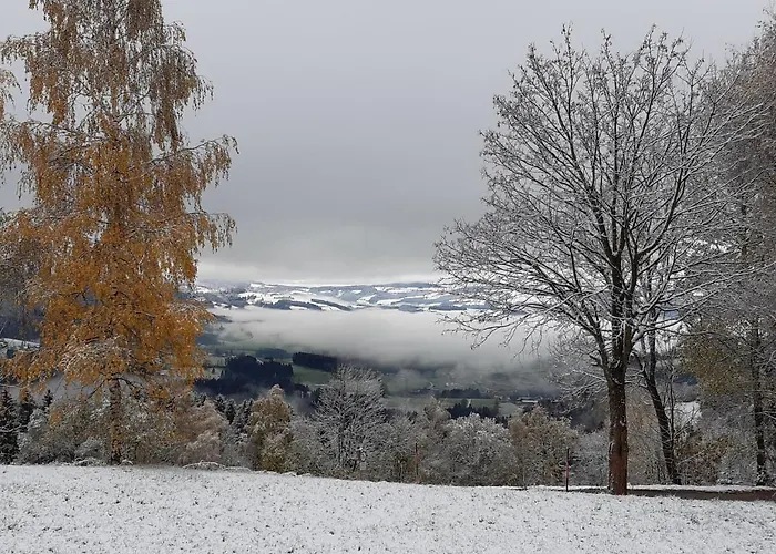 Winter's Panoramahaeuschen Holiday home