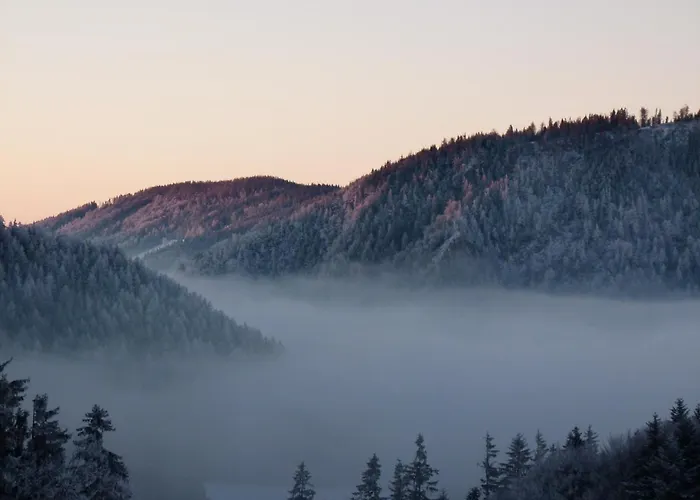 Winter's Panoramahaeuschen Sankt Kathrein am Offenegg